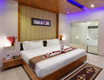 Hotels near Udaipur airport