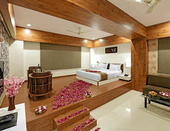 Hotels near Udaipur airport