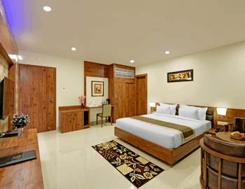 Hotels near Udaipur airport